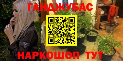 крисы Коммунар