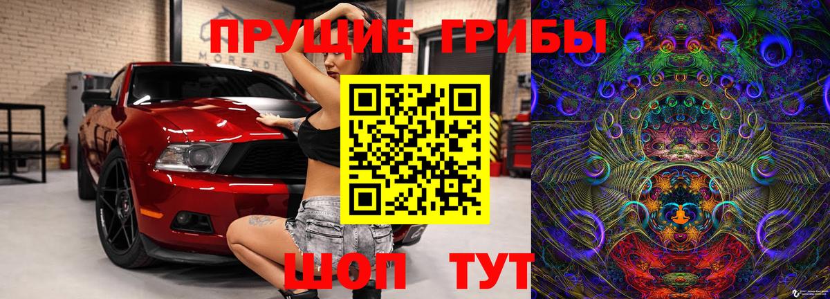 Котлас  Галлюциногенные грибы мицелий  Вход с VPN 